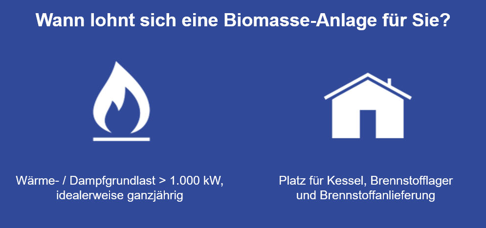 Lohnt sich eine Biomasse-Anlage