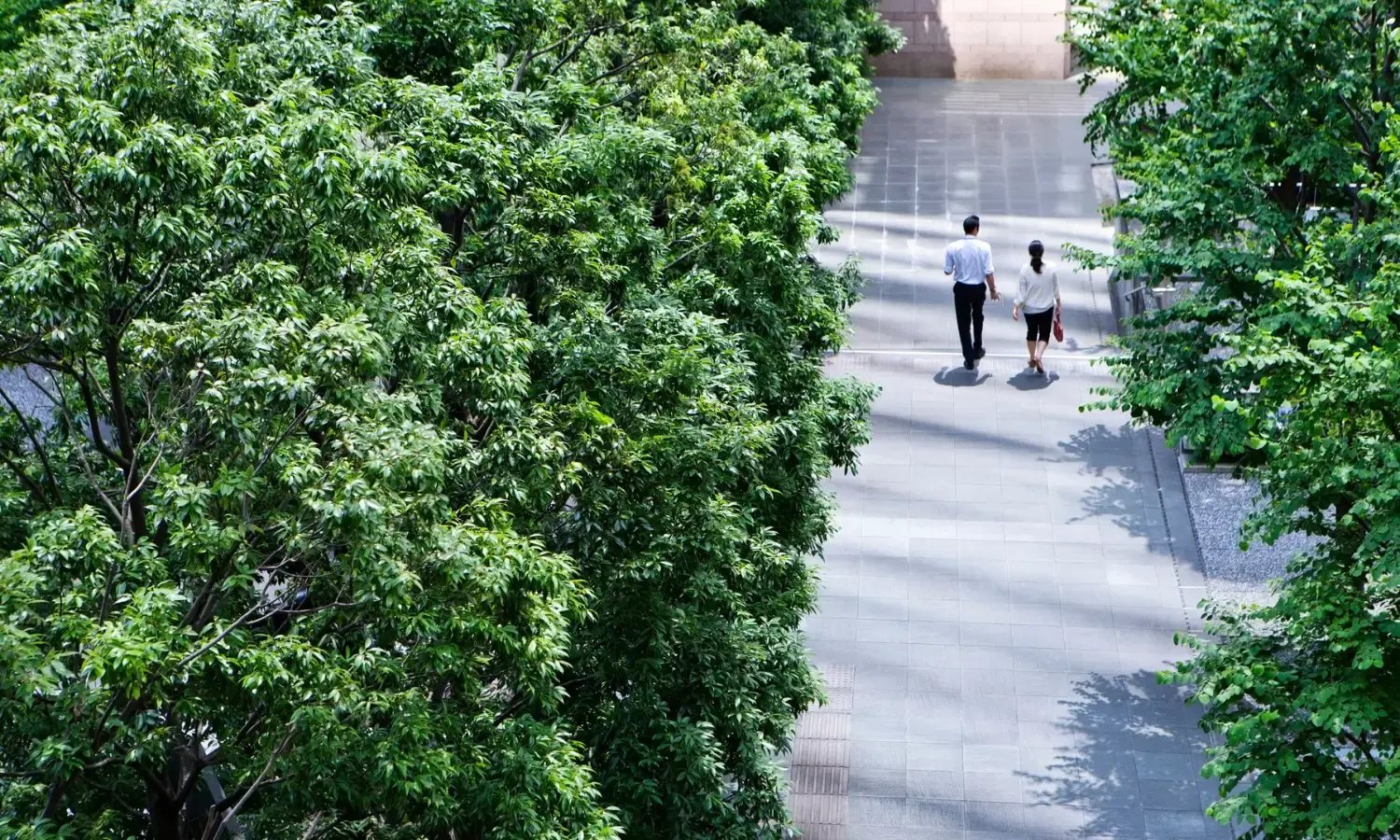 hero_banner_product carbon footprint