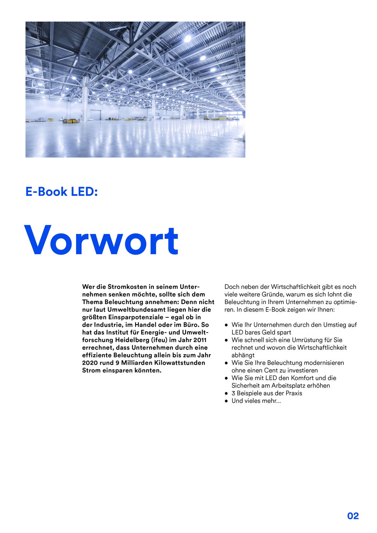 E-Book_LED_Vorwort