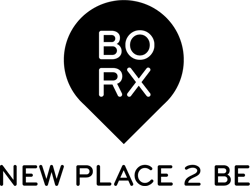 Borx_Logo