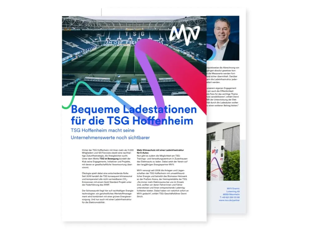 referenzdatenblatt_tsg-hoffenheim