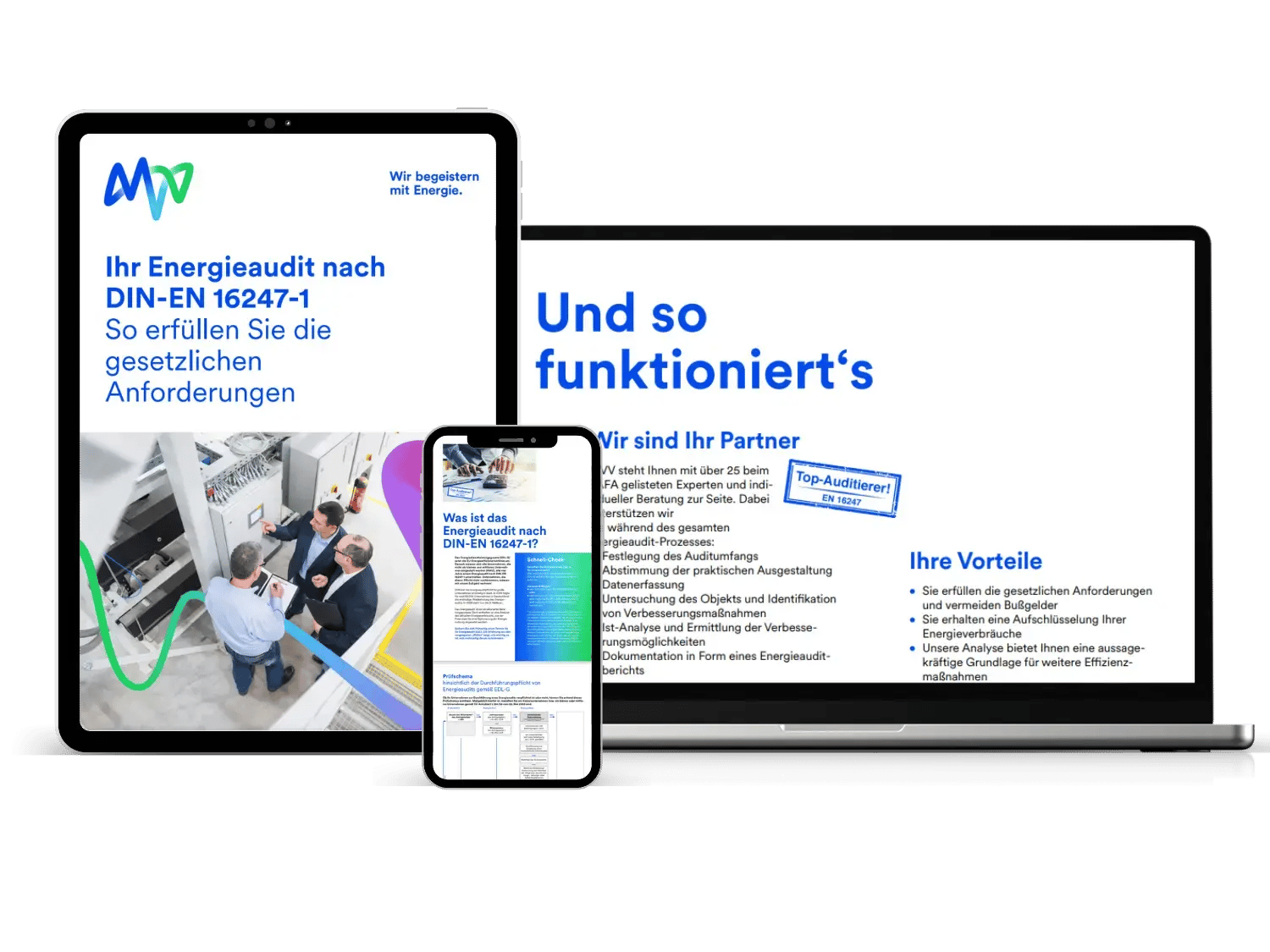 teaser_whitepaper_energieaudit