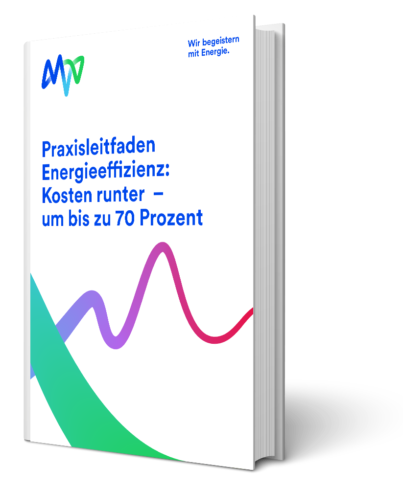 E-Book-Energiekosten sparen_Buch-vertikal_MVV_neues-CD_230314