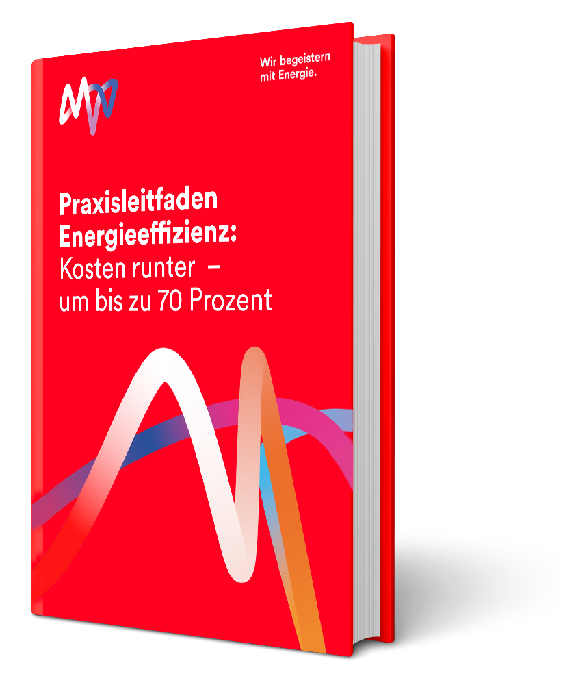 E-Book-Energiekosten-sparen-im-Unternehmen_Buch-vertikal_MVV_181018